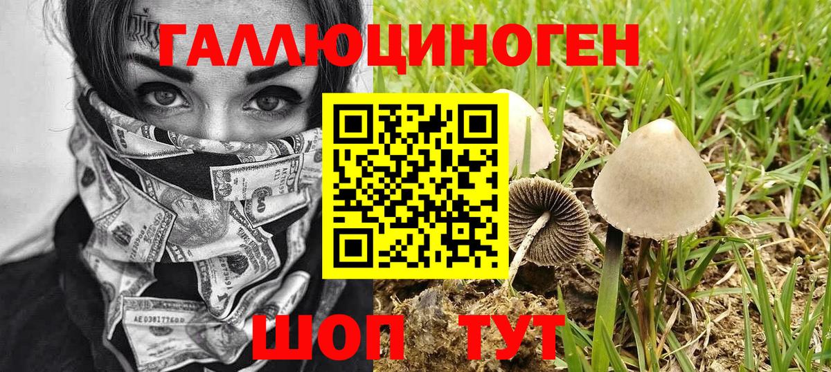 Тимашёвск  Псилоцибиновые грибы Magic Shrooms  как найти   Вход с VPN  Галлюциногенные грибы ЛСД 